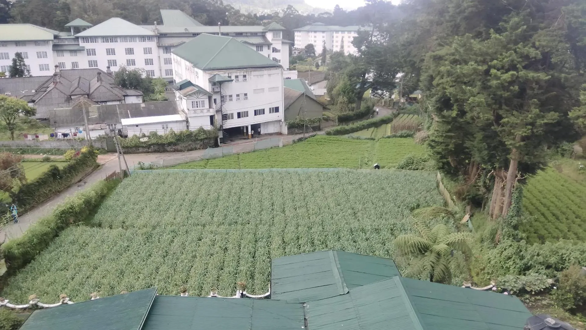 Glen Falls Apartment Nuwara Eliya Sri Lanka